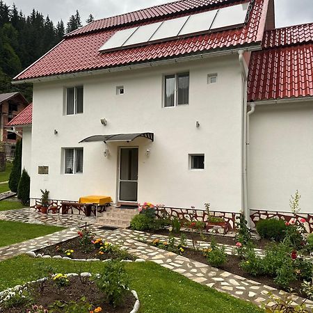 Pensiunea Marydor Girda de Sus Exterior photo